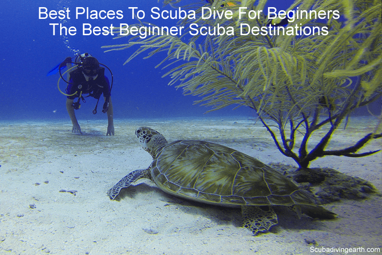 Best Places To Scuba Dive For Beginners (10 Best Beginner Scuba Destinations)