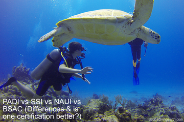 PADI vs SSI vs NAUI vs BSAC - Differences & is one certification better small