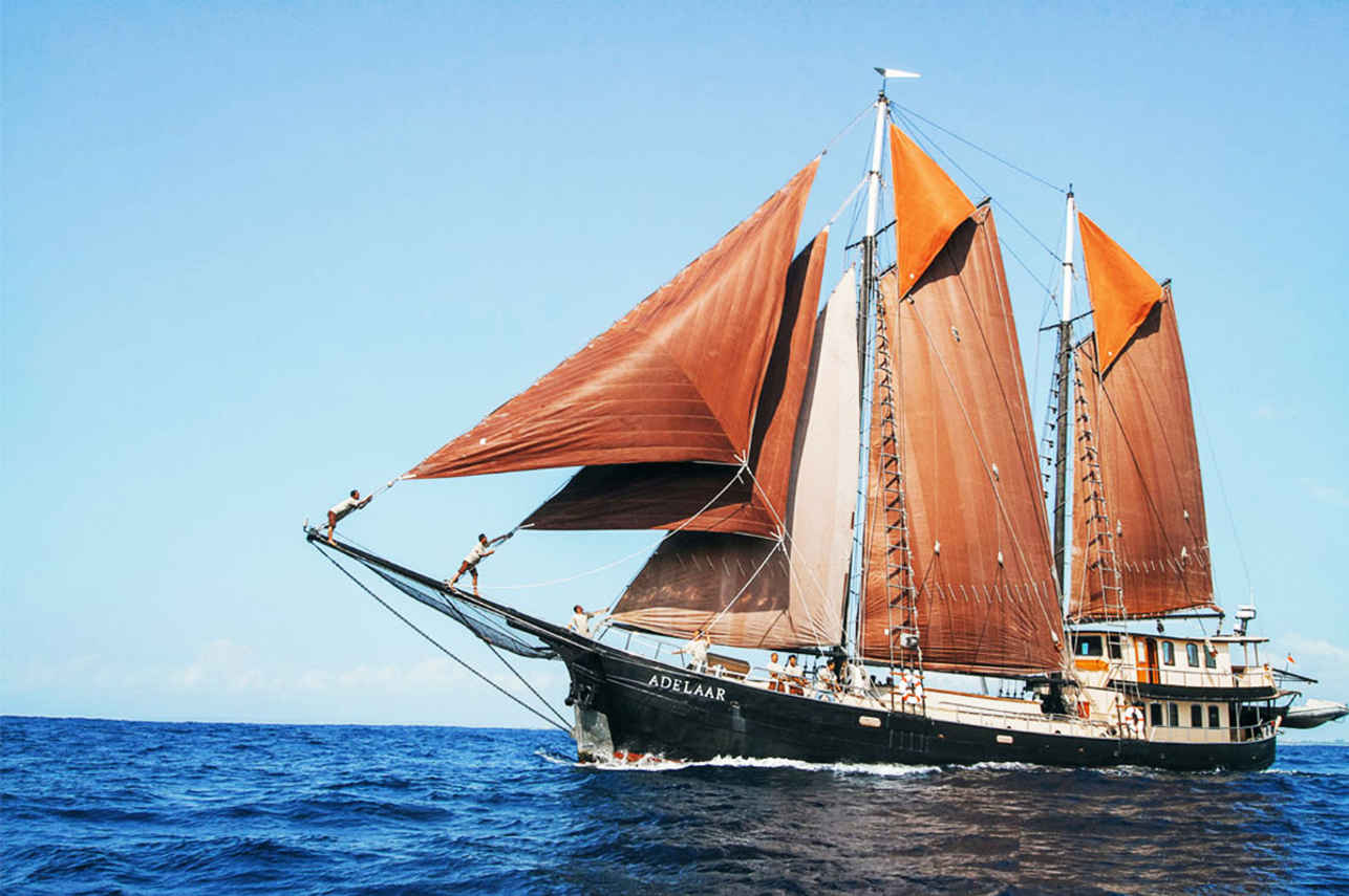 Adelaar Liveaboard