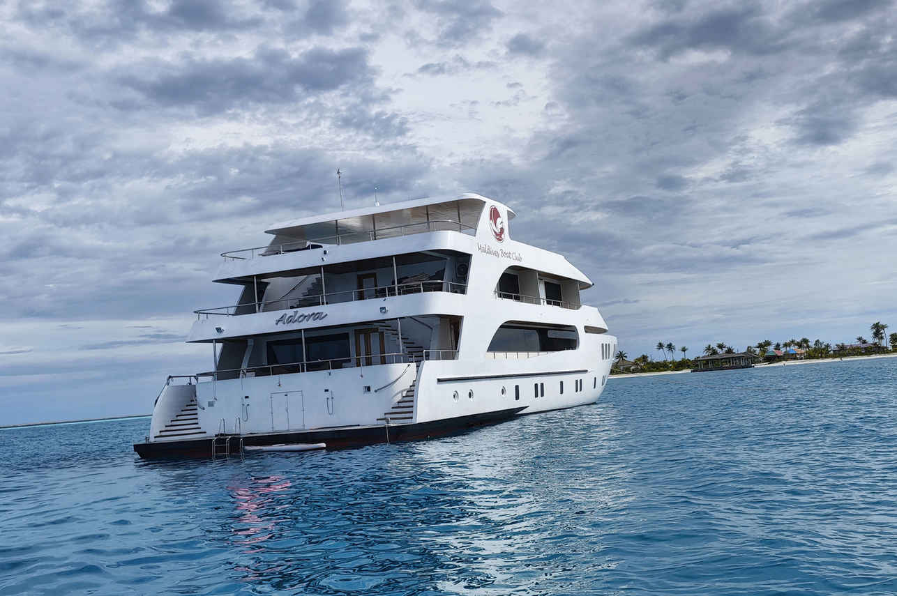 Adora Liveaboard