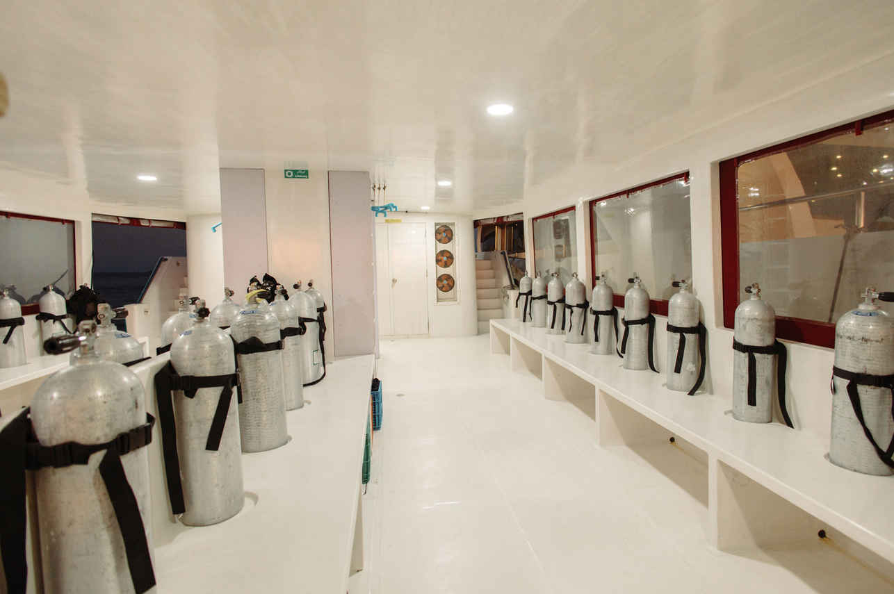 Adora Liveaboard Image