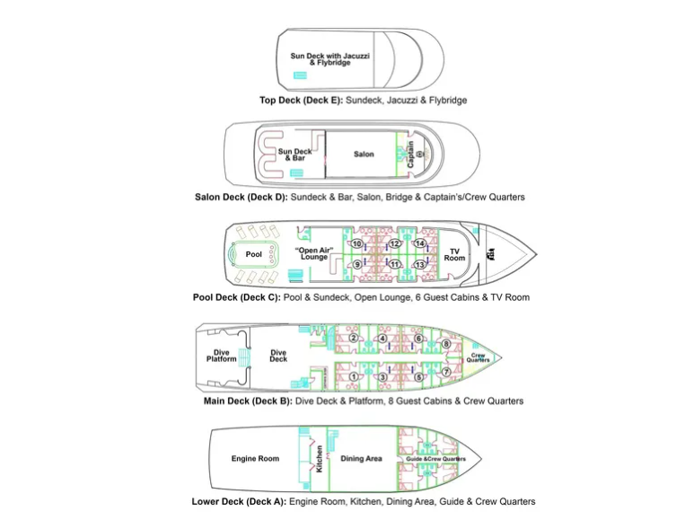 All Star Scuba Scene