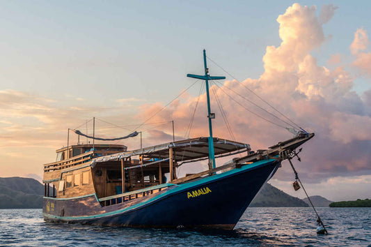 Amalia Komodo Liveaboard