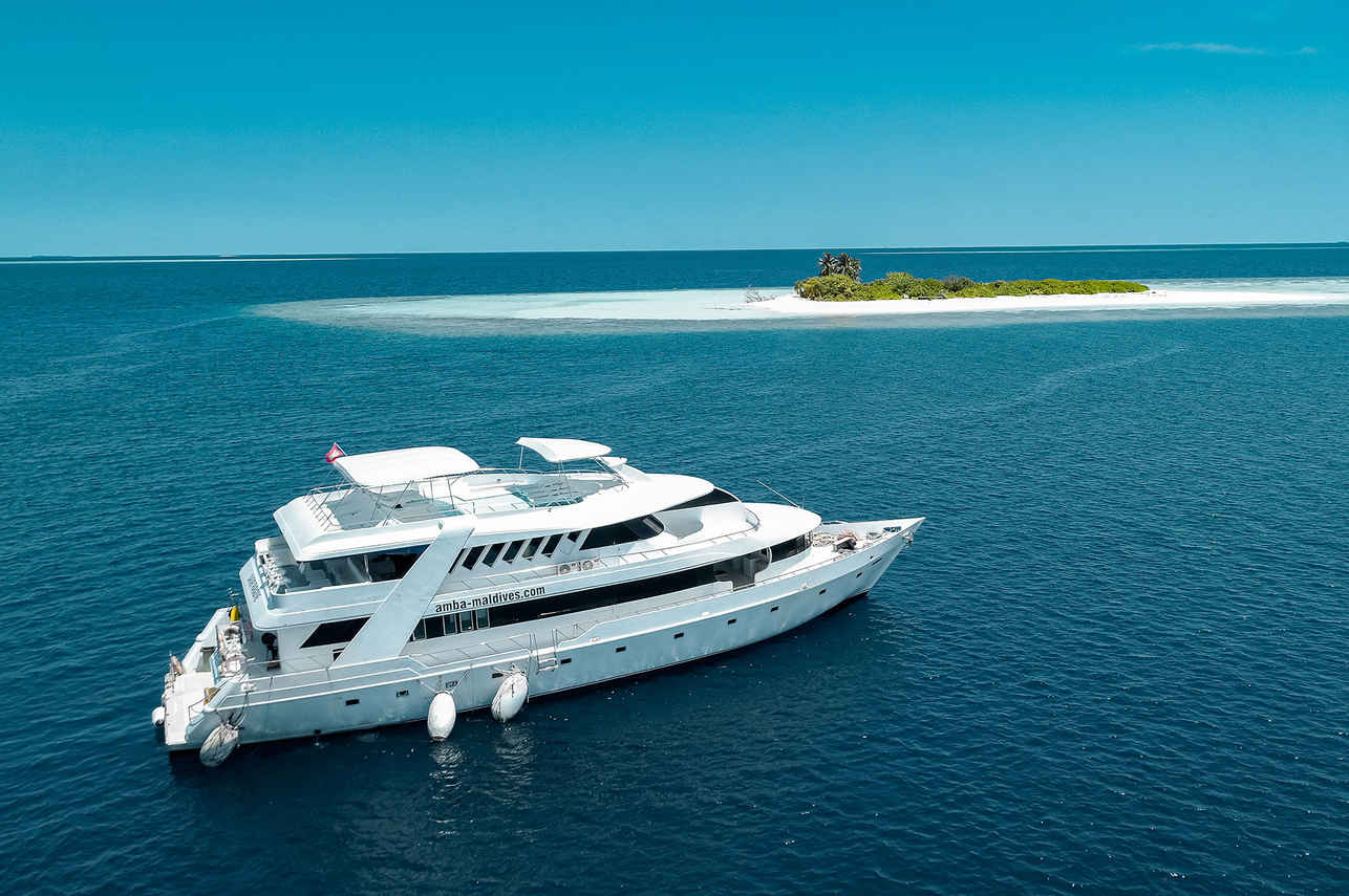 Amba Liveaboard Image