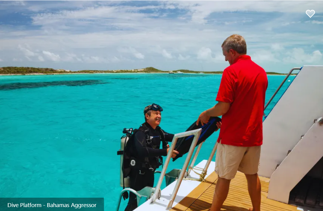 Bahamas Aggressor