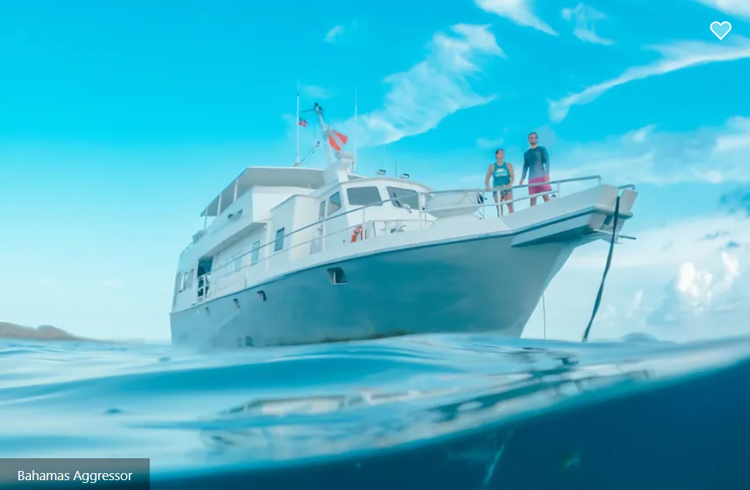 Bahamas Aggressor