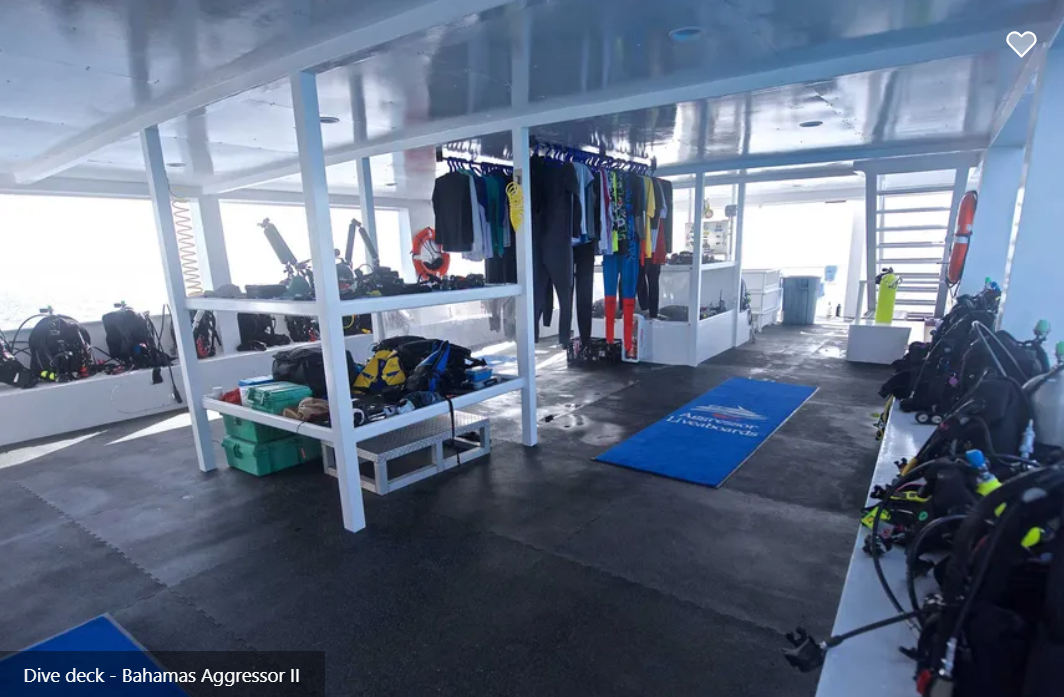 Bahamas Aggressor II Image