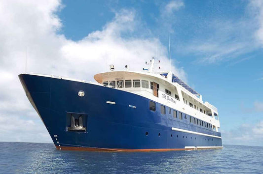 Blue Manta Liveaboard