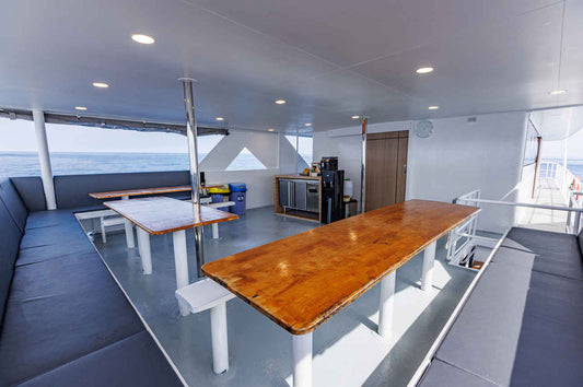 Blue Dolphin Liveaboard