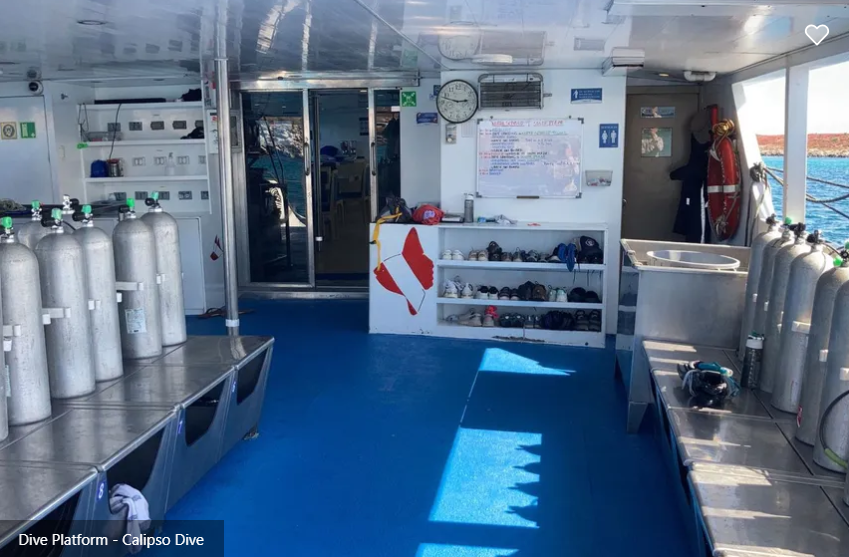 Calipso Dive Liveaboard