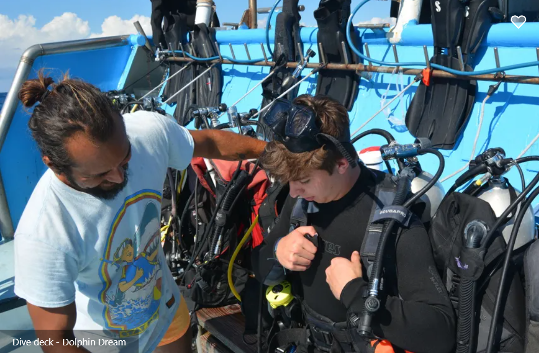 Dolphin Dream Liveaboard