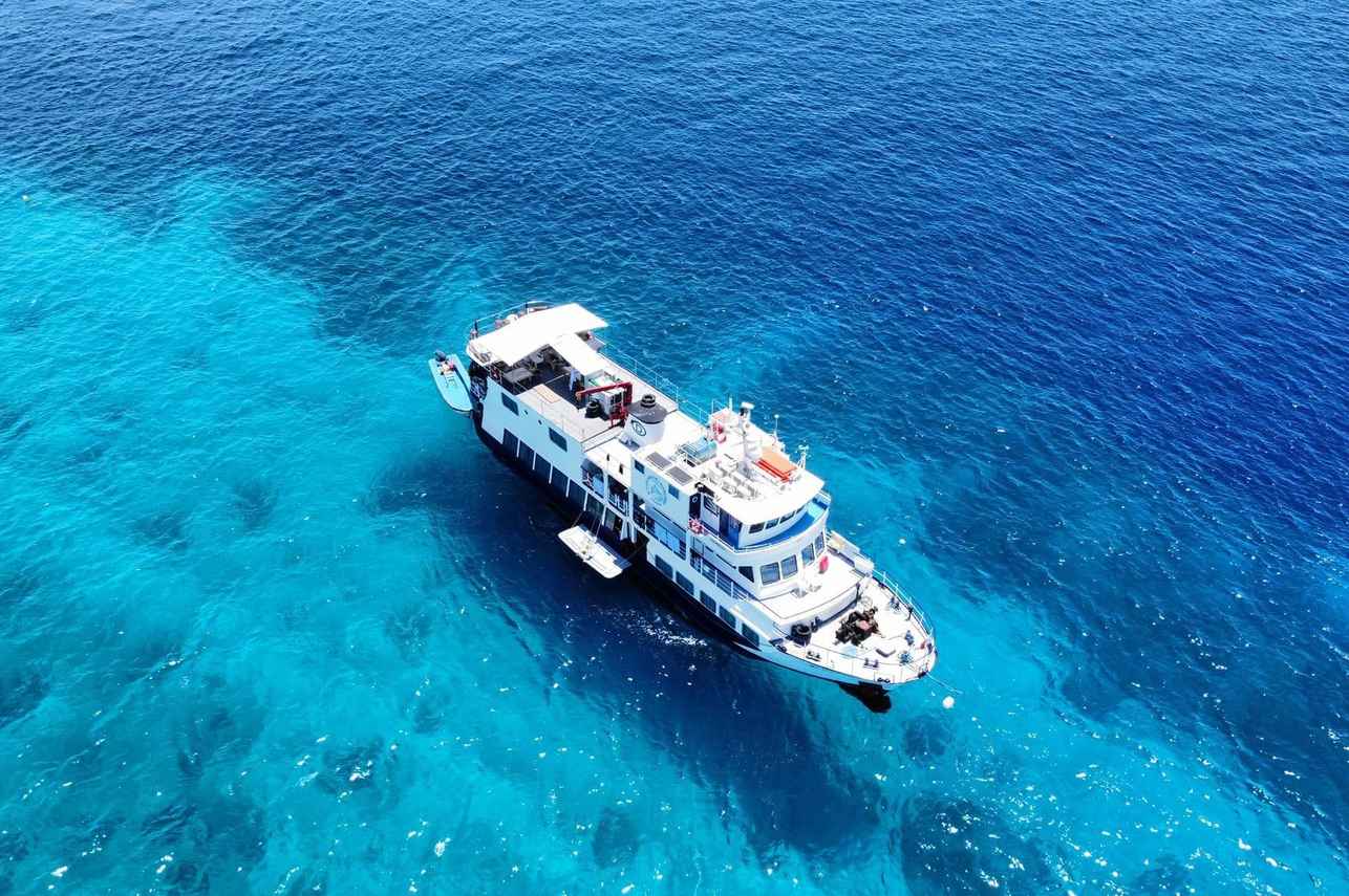 Dolphin Liveaboard