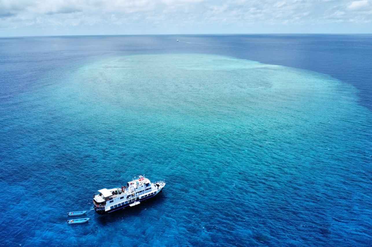 Dolphin Liveaboard