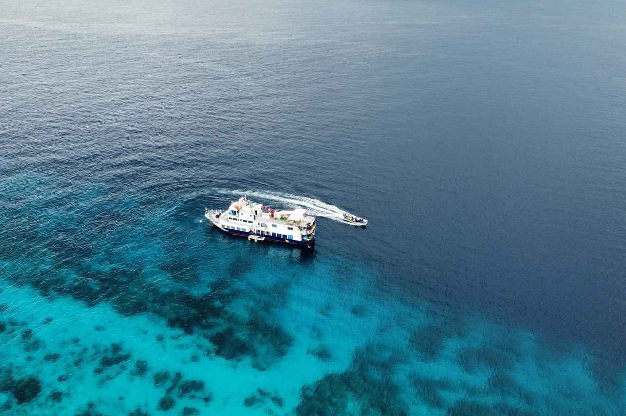 Dolphin Liveaboard