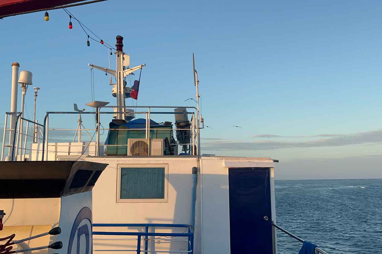 Dolphin Liveaboard