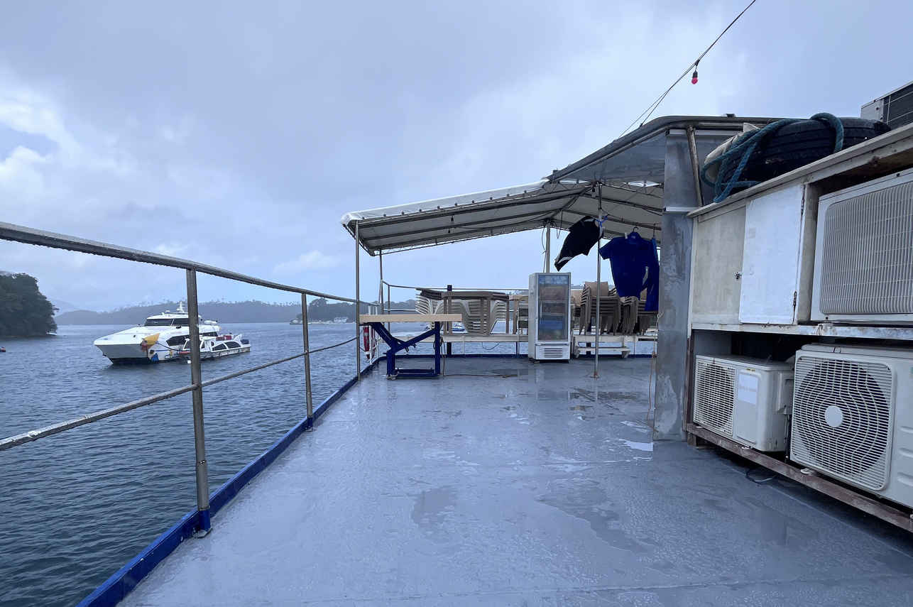 Dolphin Liveaboard