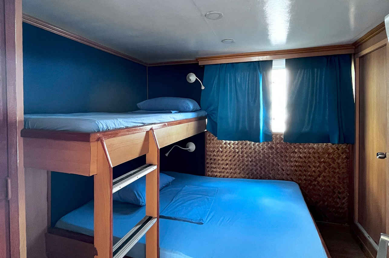 Dolphin Liveaboard