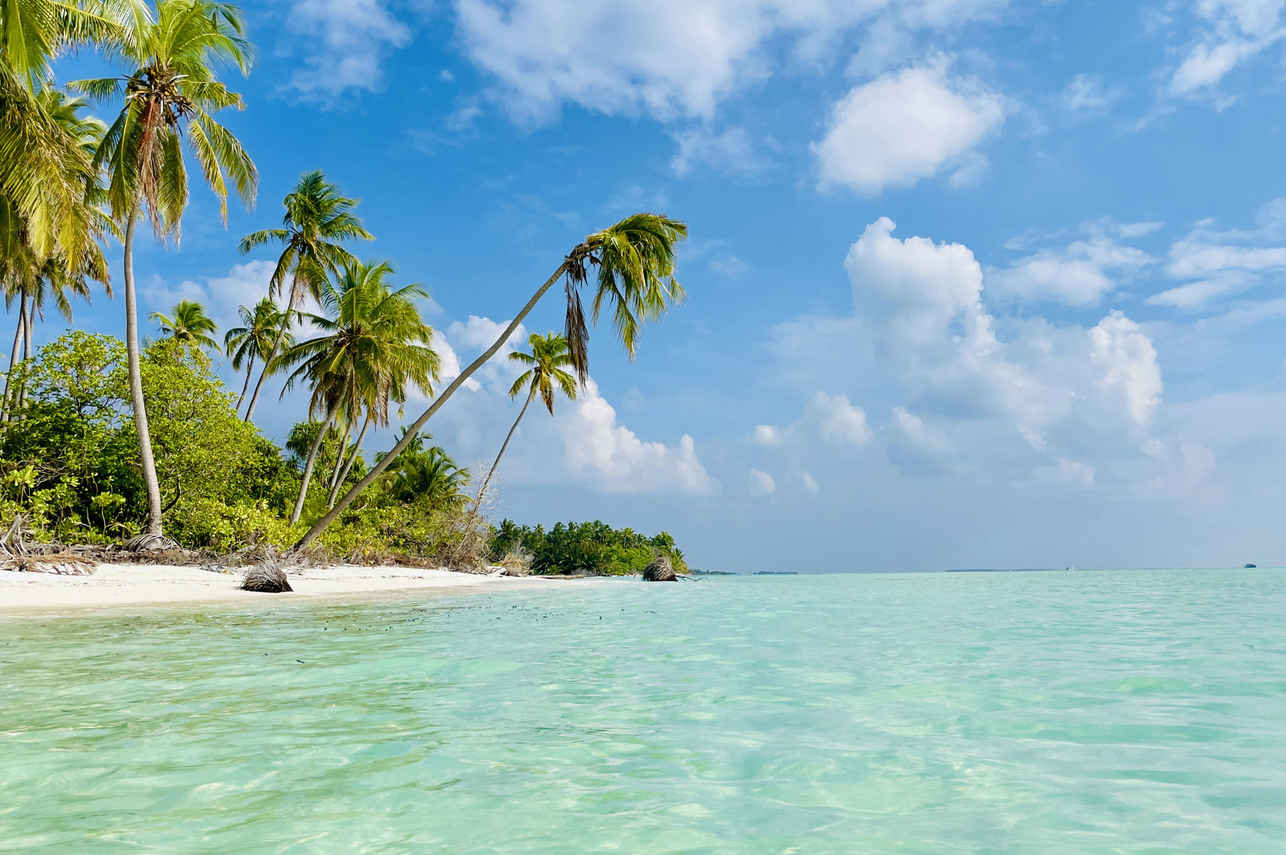 EcoPro Mariana Liveaboard