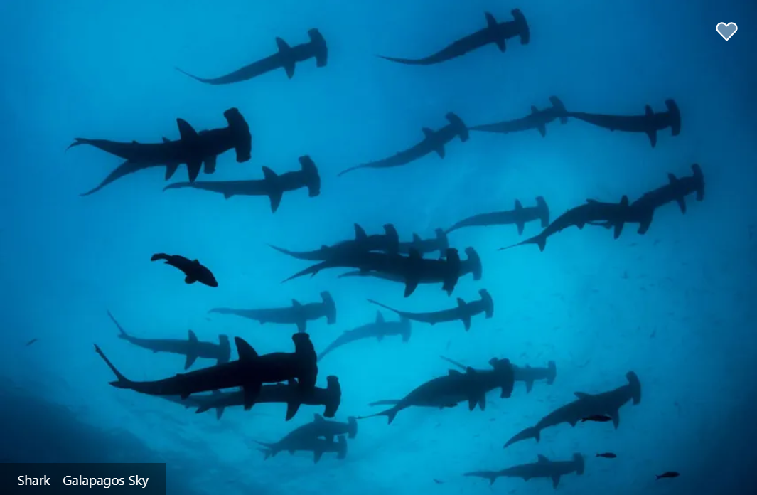 Galapagos Sky