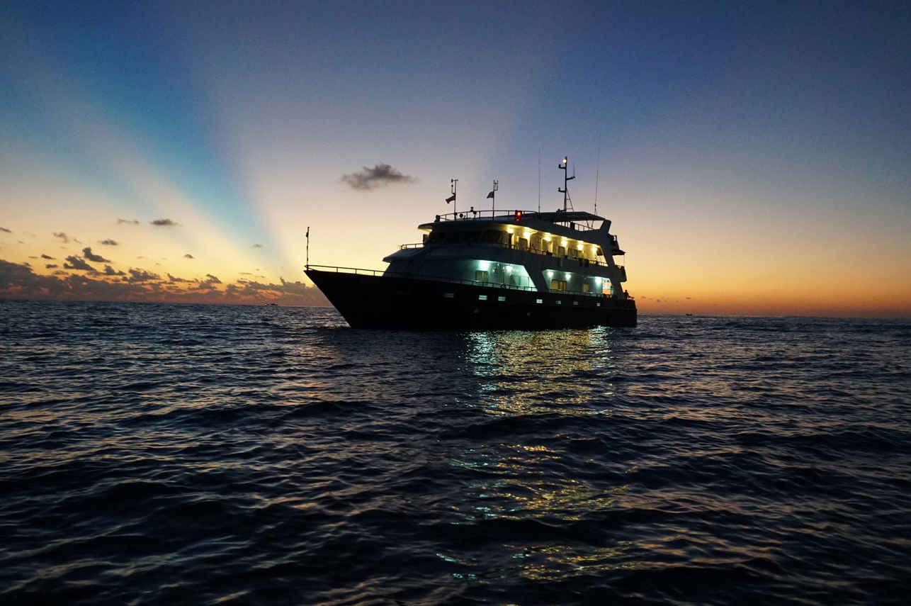 Infiniti Liveaboard