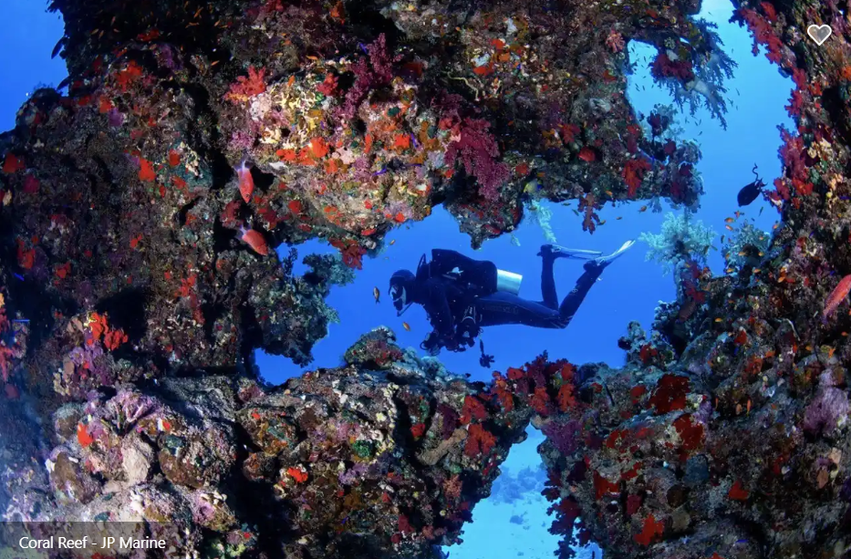 JP Marine Liveaboard