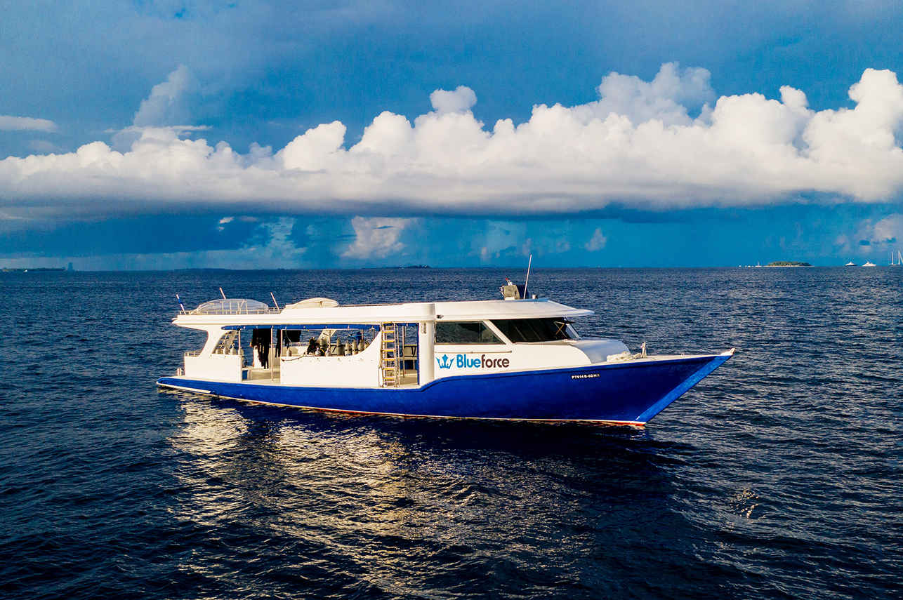 Maldives Blue Force 3