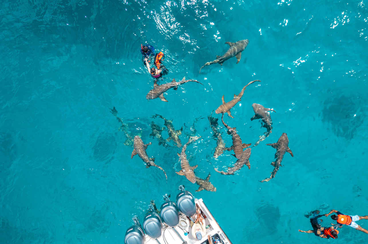 Maldives Legend Odyssey