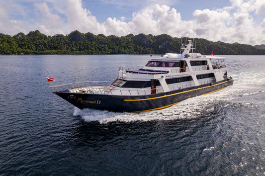 Mermaid II Liveaboard
