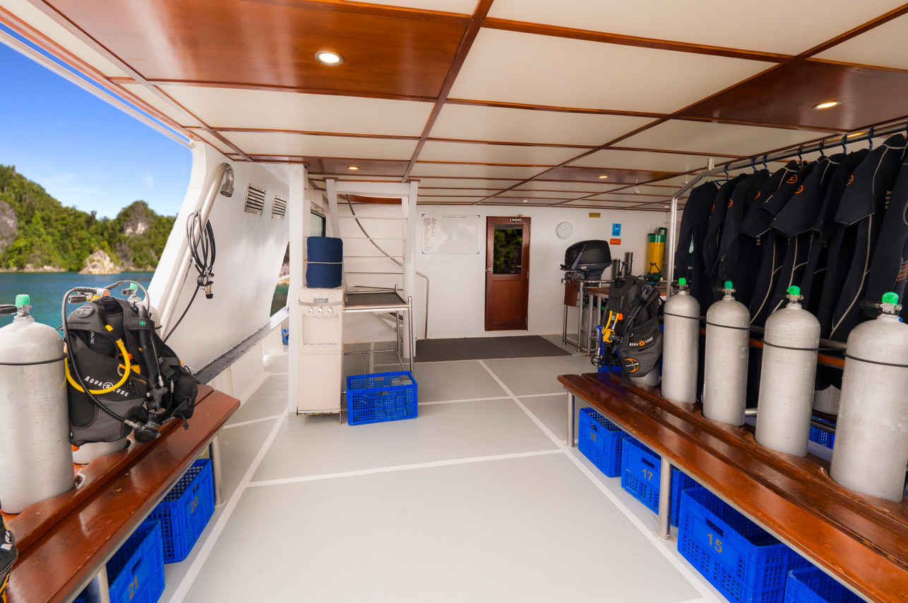 Mermaid II Liveaboard