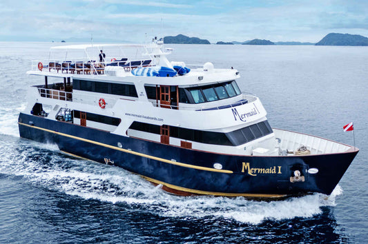 Mermaid I Liveaboard