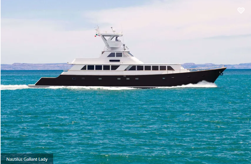 Nautilus Gallant Lady
