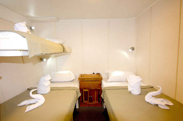 Cabin Image