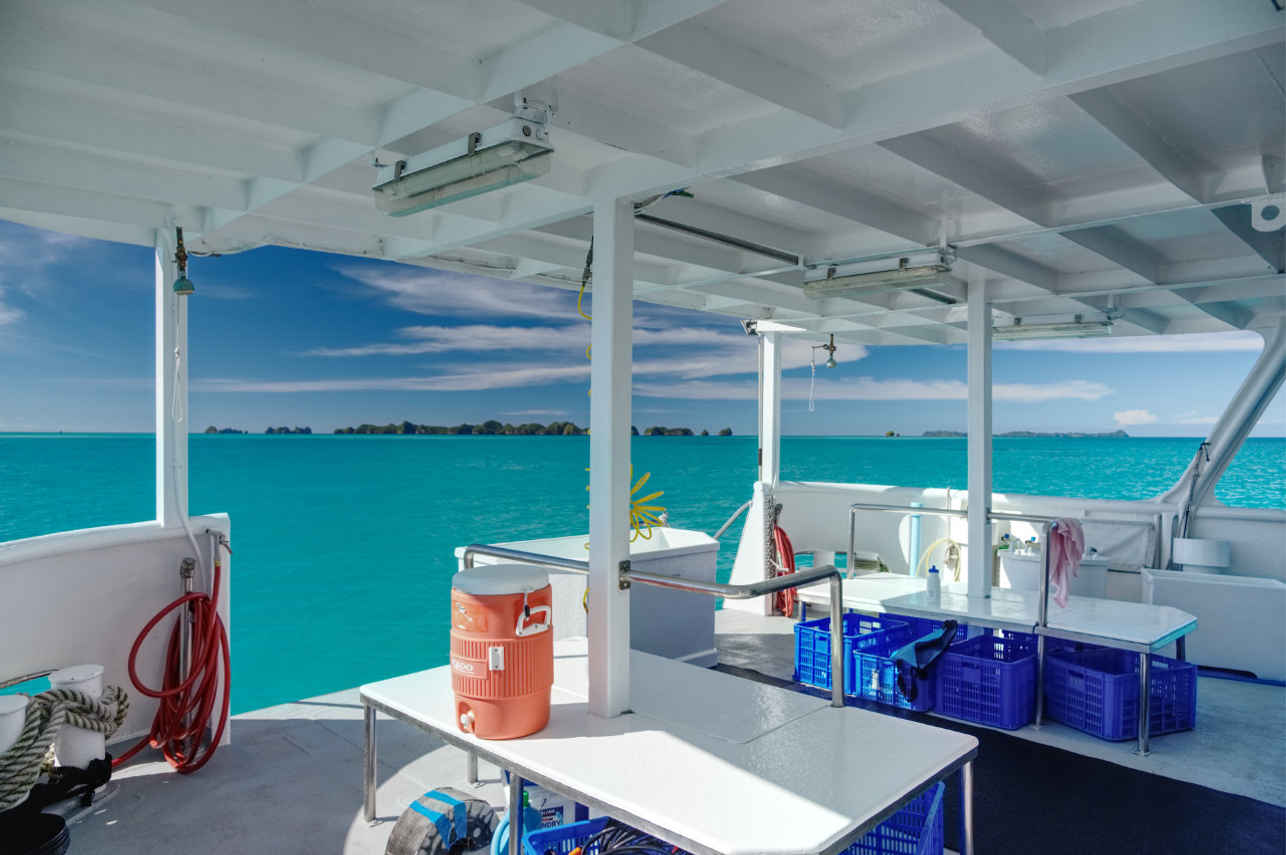 Ocean Hunter 3