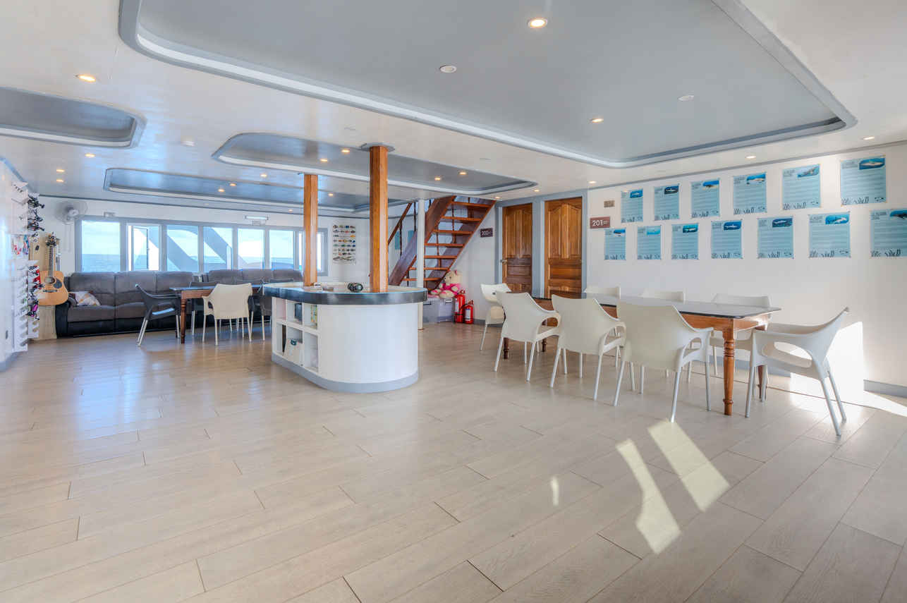 Ocean One Liveaboard