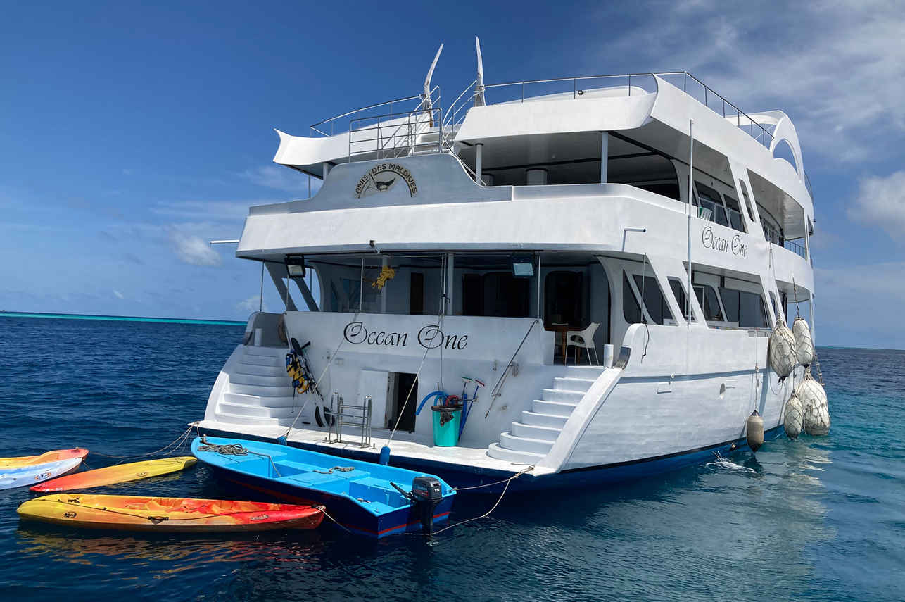 Ocean One Liveaboard