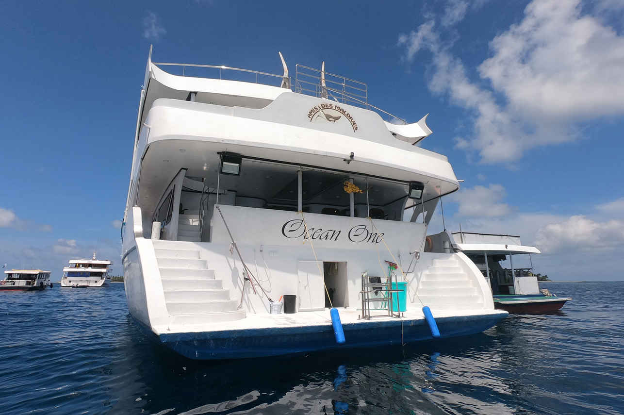 Ocean One Liveaboard