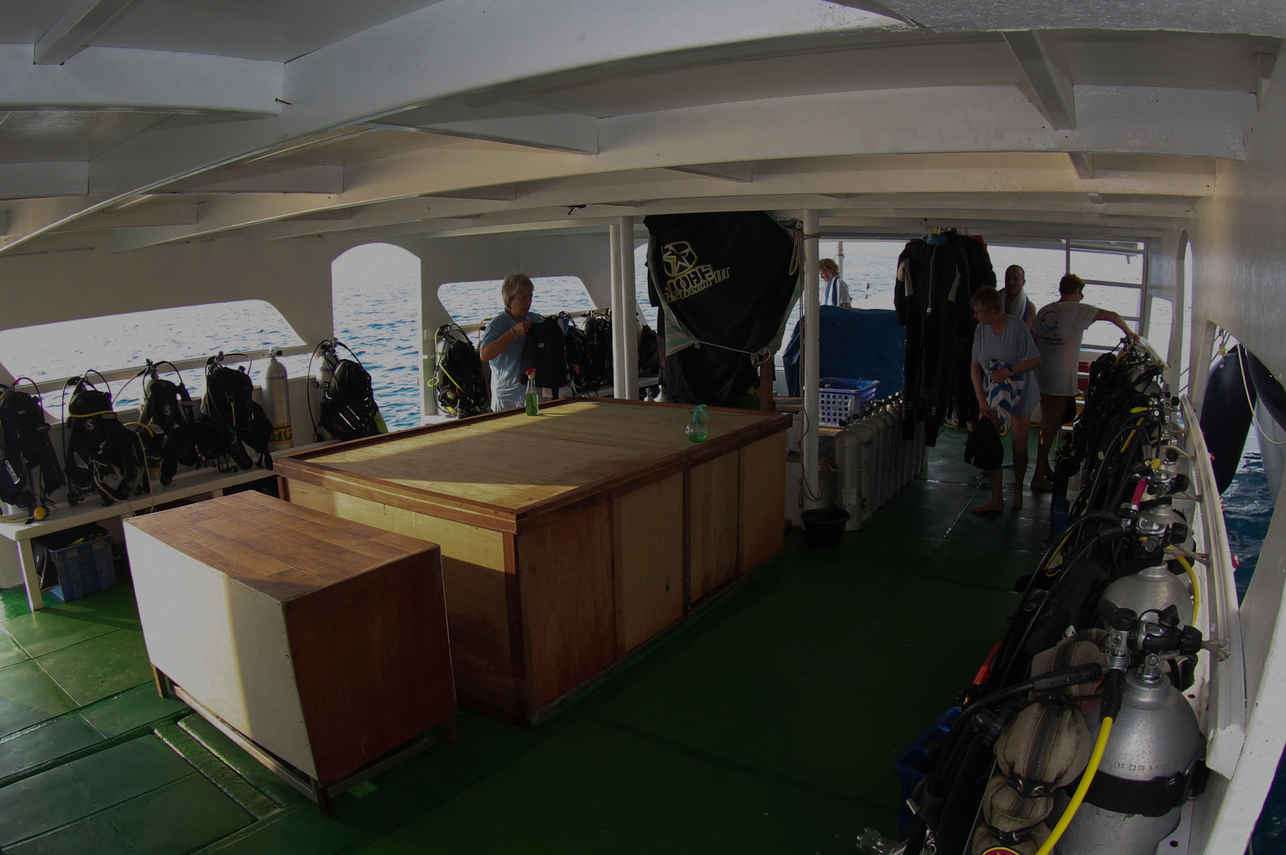 Ocean One Liveaboard Image