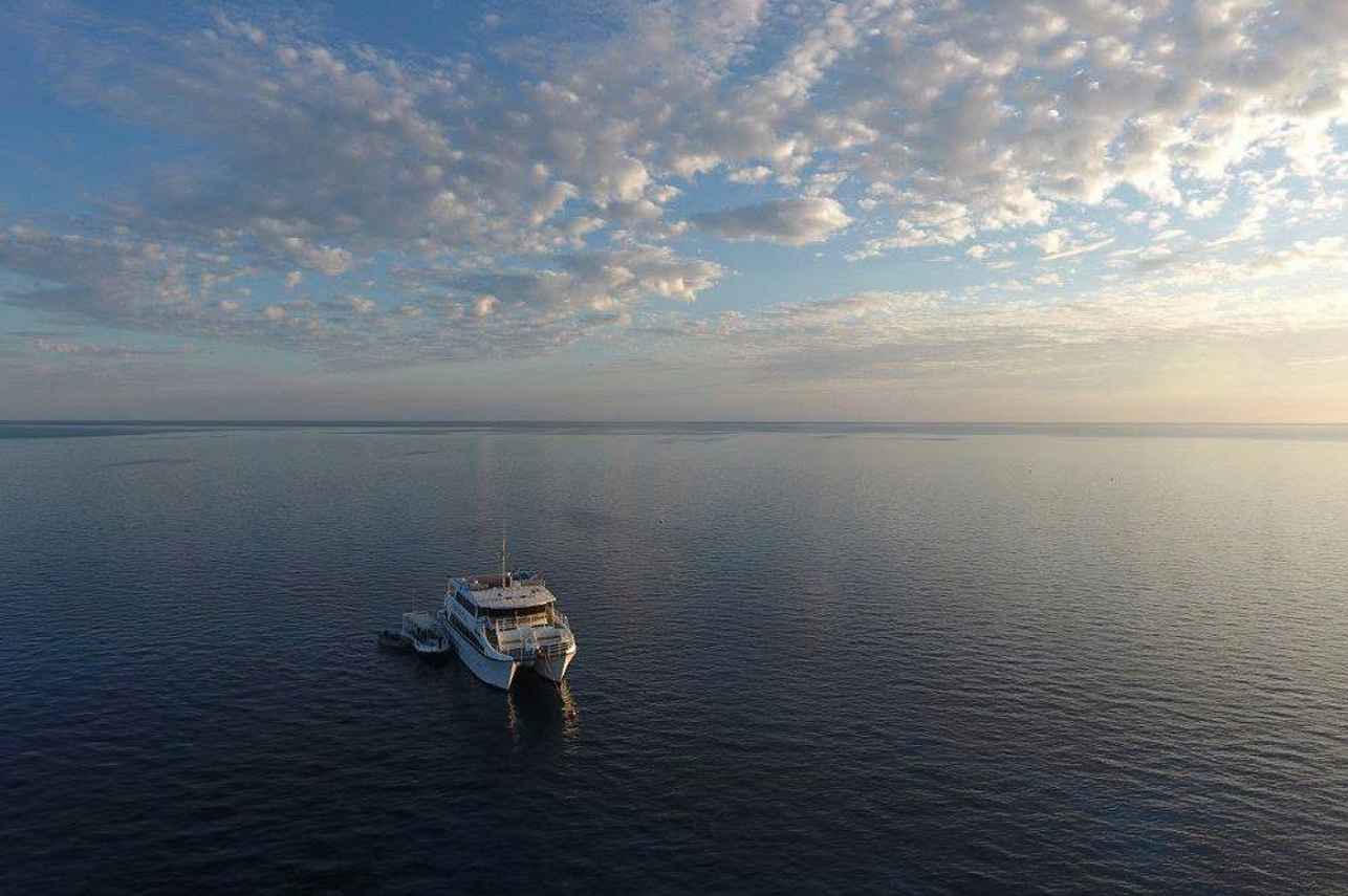 Odyssey Liveaboard