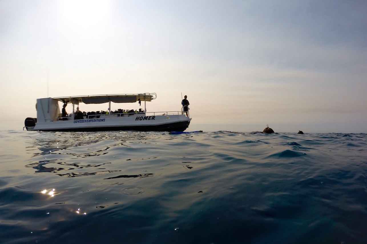 Odyssey Liveaboard