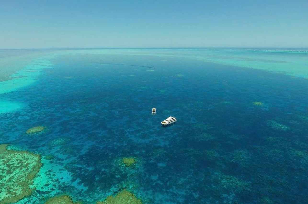 Odyssey Liveaboard