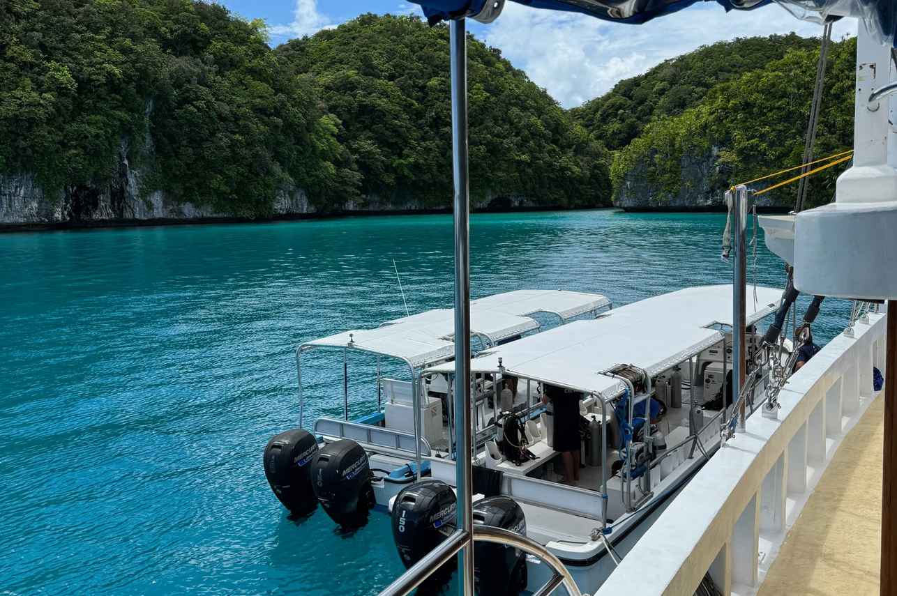 Palau Siren