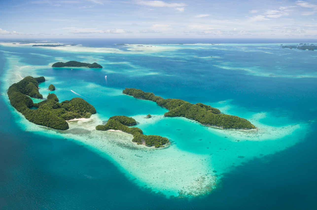 Palau Siren