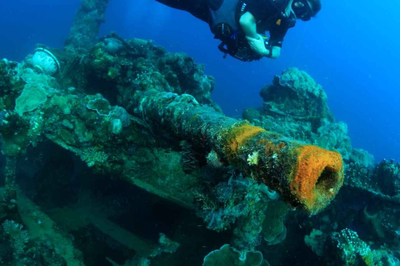 Palau Siren