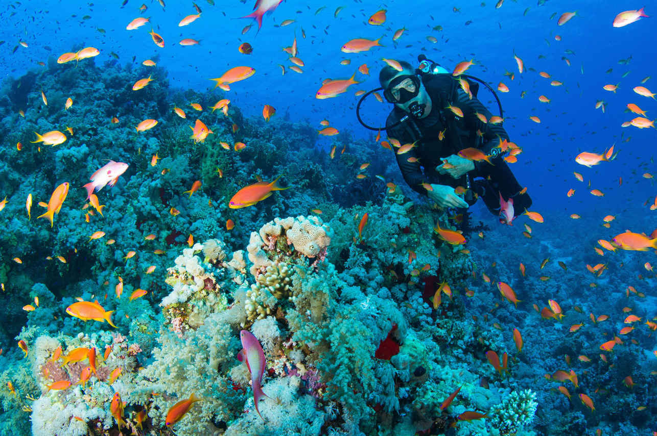 Red Sea Aggressor II