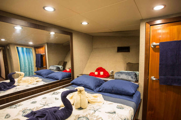 Cabin Image