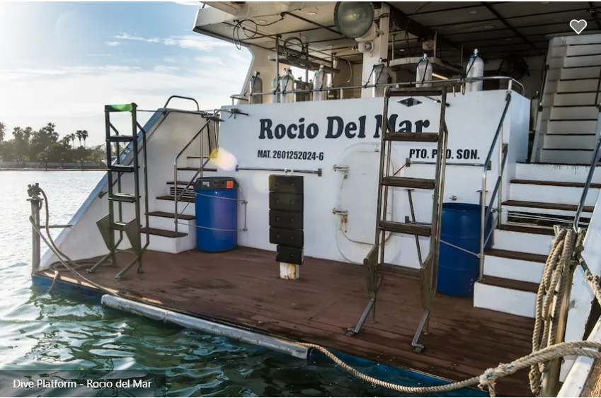 Rocio del Mar