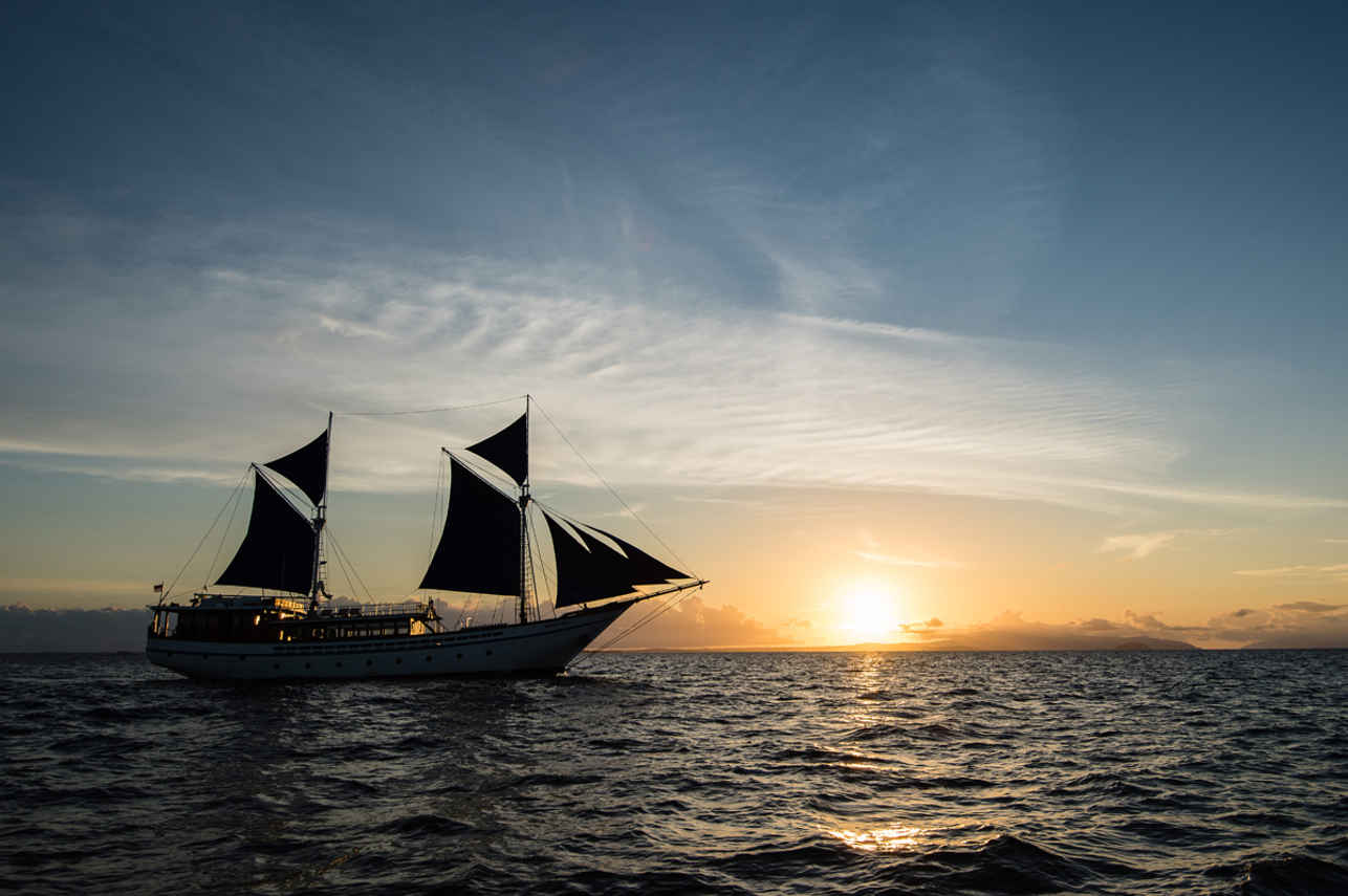 Samambaia Liveaboard