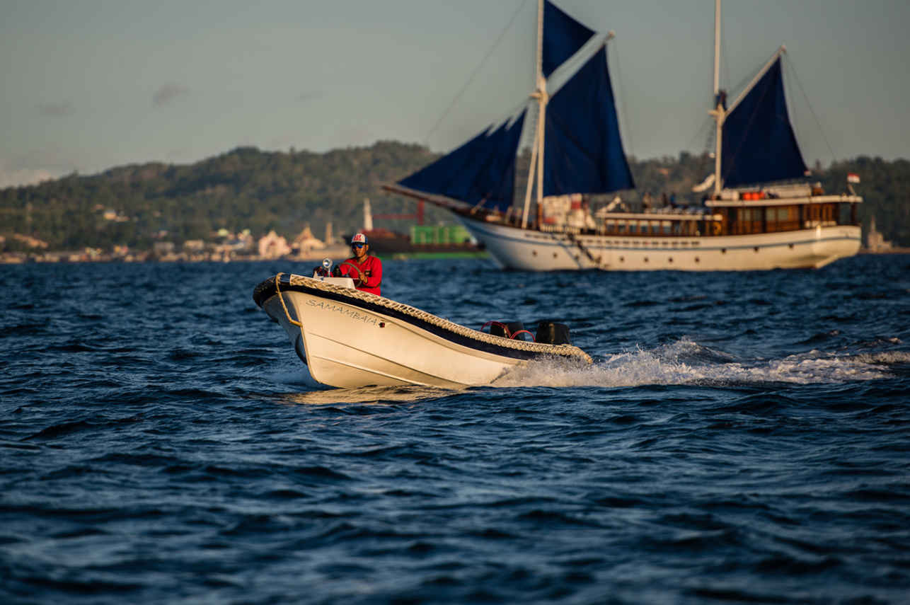 Samambaia Liveaboard