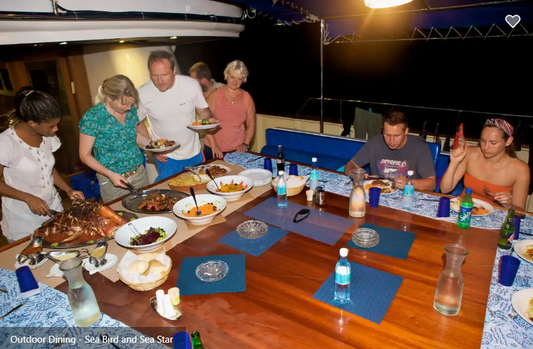 Sea Bird and Sea Star