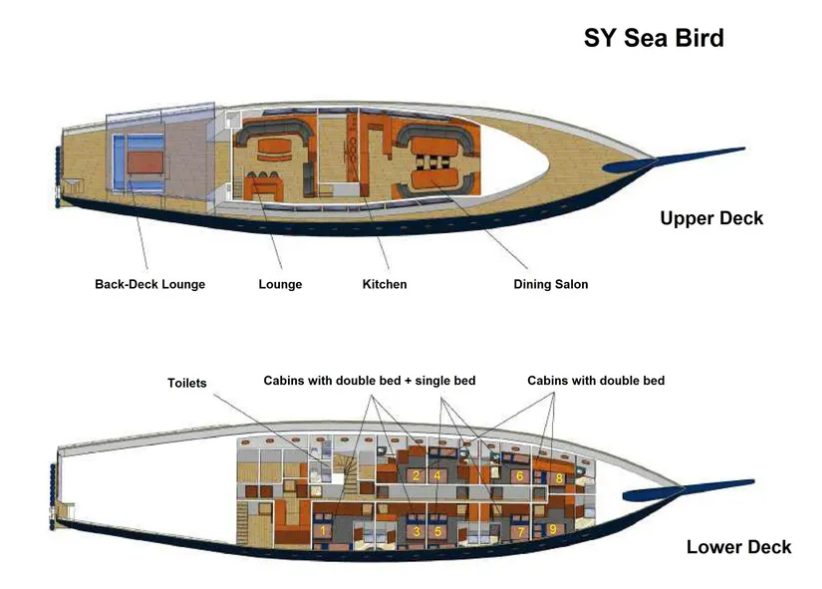 Sea Bird and Sea Star